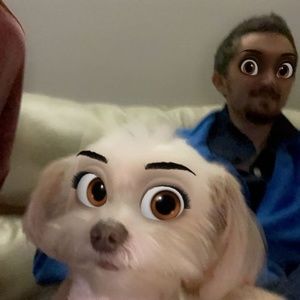 Meet your Posher, Mark